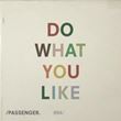Passenger - Do What You Like